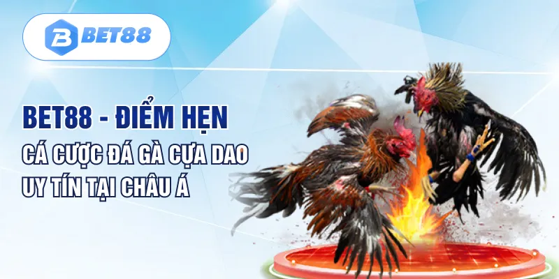 Bet88 – Điểm hẹn cá cược đá gà cựa dao uy tín tại châu Á