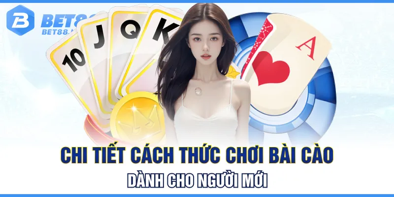 Hướng dẫn chi tiết cách chơi bài cào dành cho tân thủ