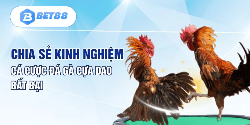 Chia sẻ kinh nghiệm cá cược đá gà cựa dao bất bại