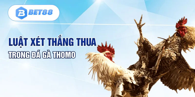 Luật xét thắng thua trong đá gà Thomo