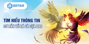 Tìm hiểu thông tin cơ bản về đá gà cựa dao