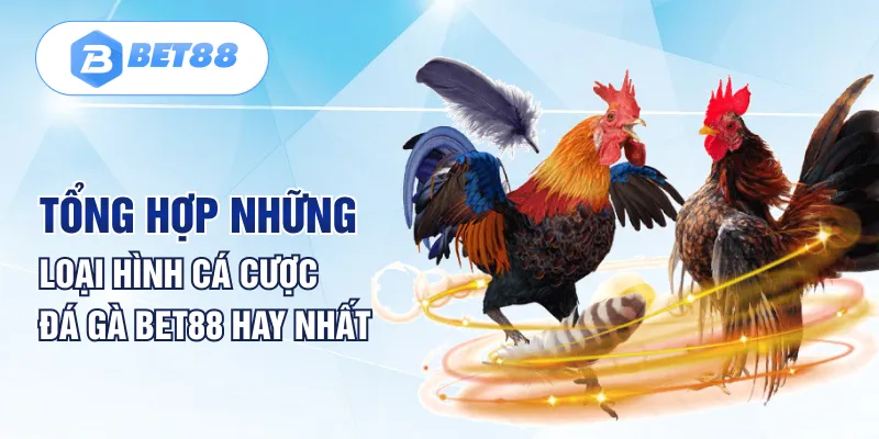 Tổng hợp những loại hình cá cược đá gà Bet88 hay nhất