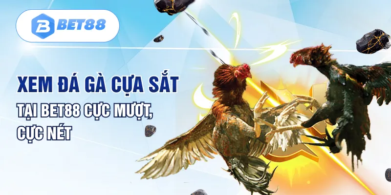 Xem đá gà cựa sắt tại Bet88 cực mượt, cực nét